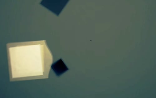 jrcanest_smear