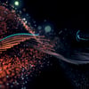 My Trapcode Experiments, Volume III