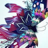 Umeric Studio : papillons et motion design organique