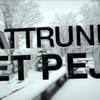 Modéliser des textes en 3D dans After Effects directement !