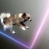 Vitalic + Pleix : une création qui traverse le temps