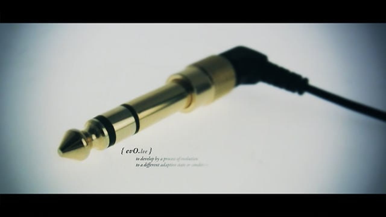 Vignette de « Evolve »