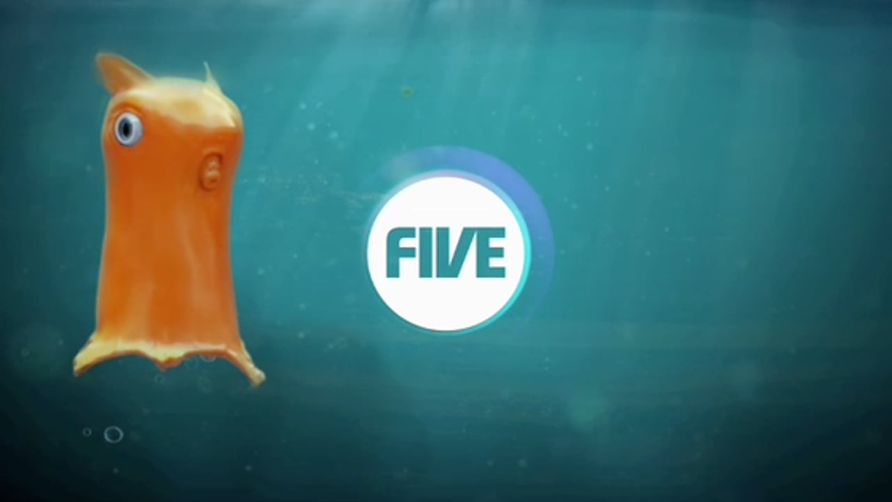 Vignette de « Five - Food Chain »