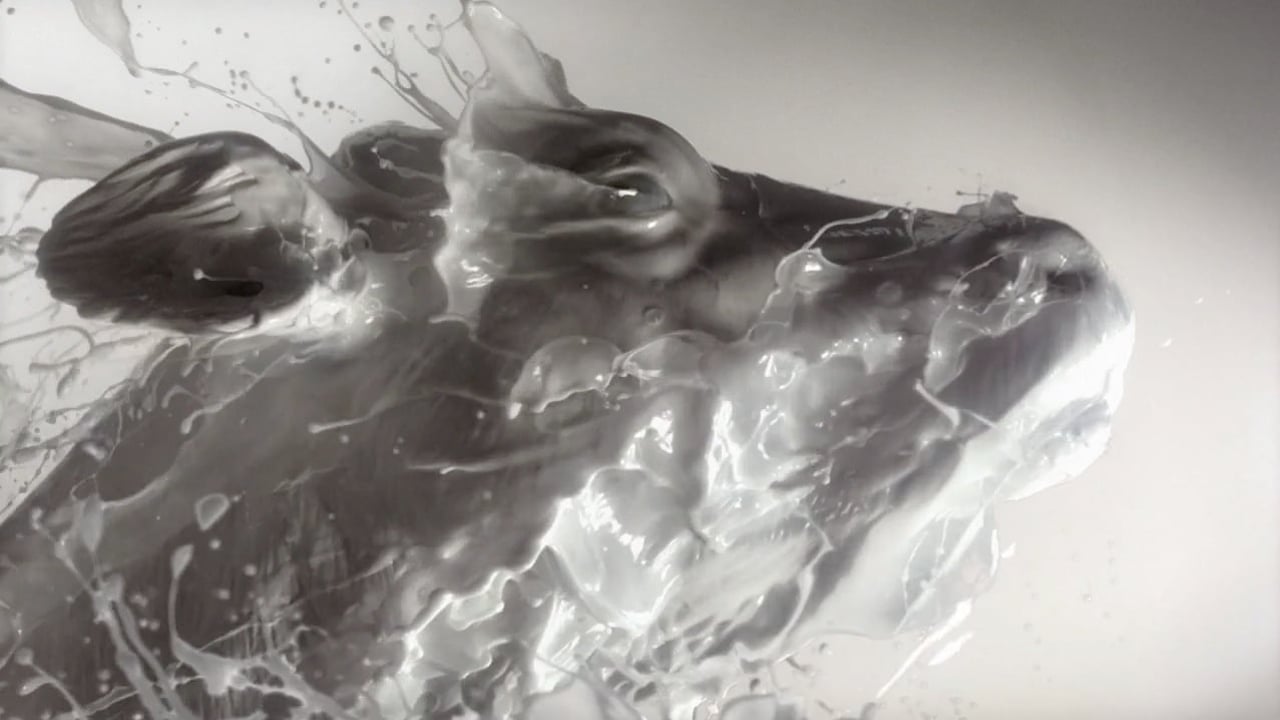 Thumbnail for "Fage - Plain"