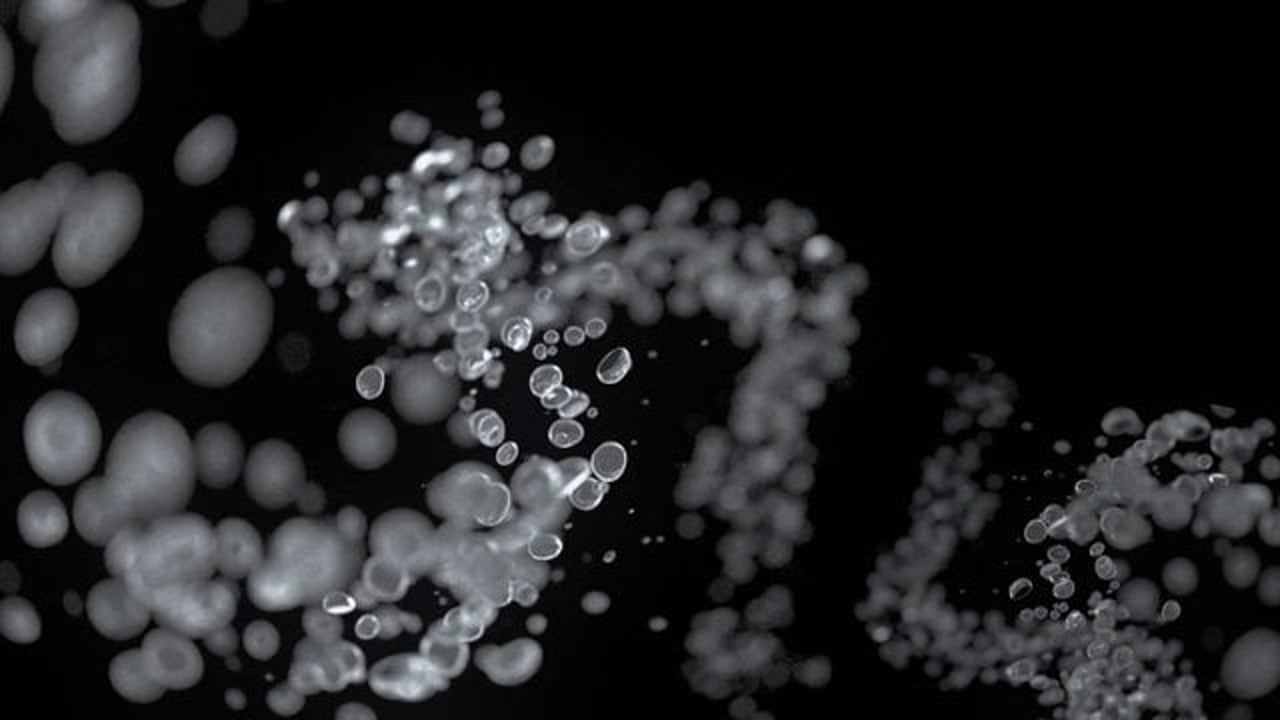 Thumbnail for "Good Evening 2012 Tailor Piece"