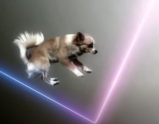 Vitalic + Pleix : une création qui traverse le temps