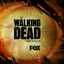Vignette de « Fox - The Walking Dead Season 2 Promo »